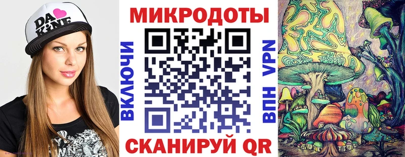 Галлюциногенные грибы Cubensis цены Махачкала